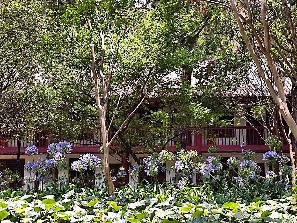 Kunming - Universite du Yunnan (22).jpg